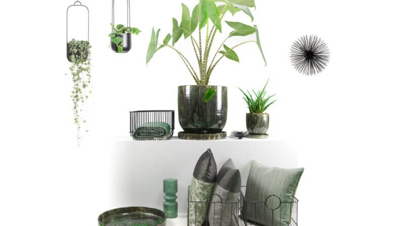 Pakket Natuurlijk groen