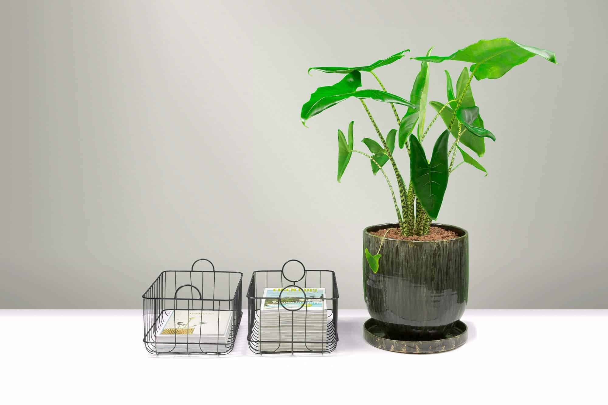 Pakket Natuurlijk groen Pakket Natuurlijk groen